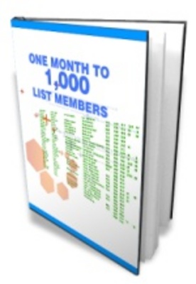 Product picture One Month to1000 List Members - E-Mail Marketing